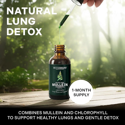 BetterLungs® Mullein + Chlorophyll